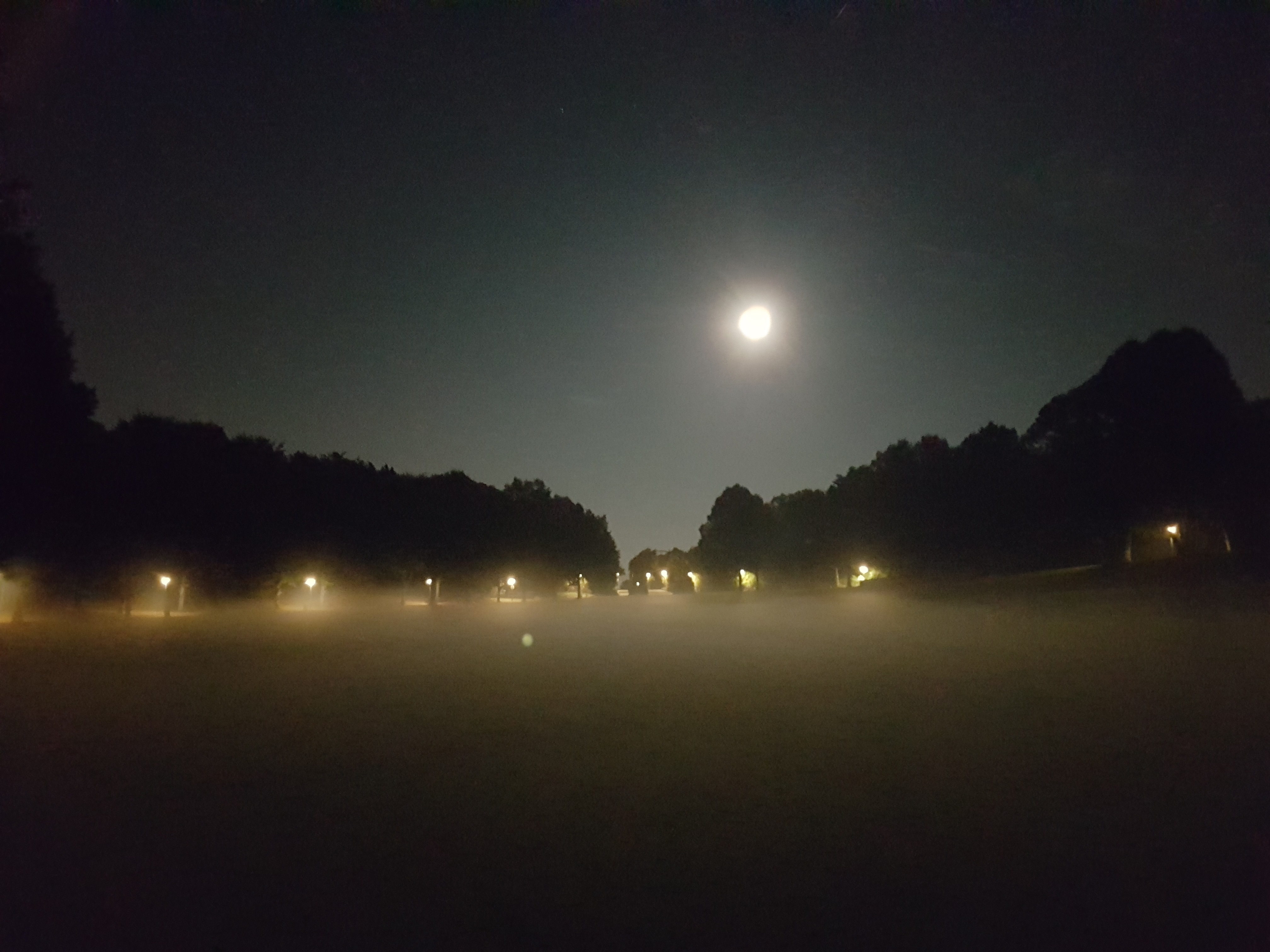 20161016_205217.jpg