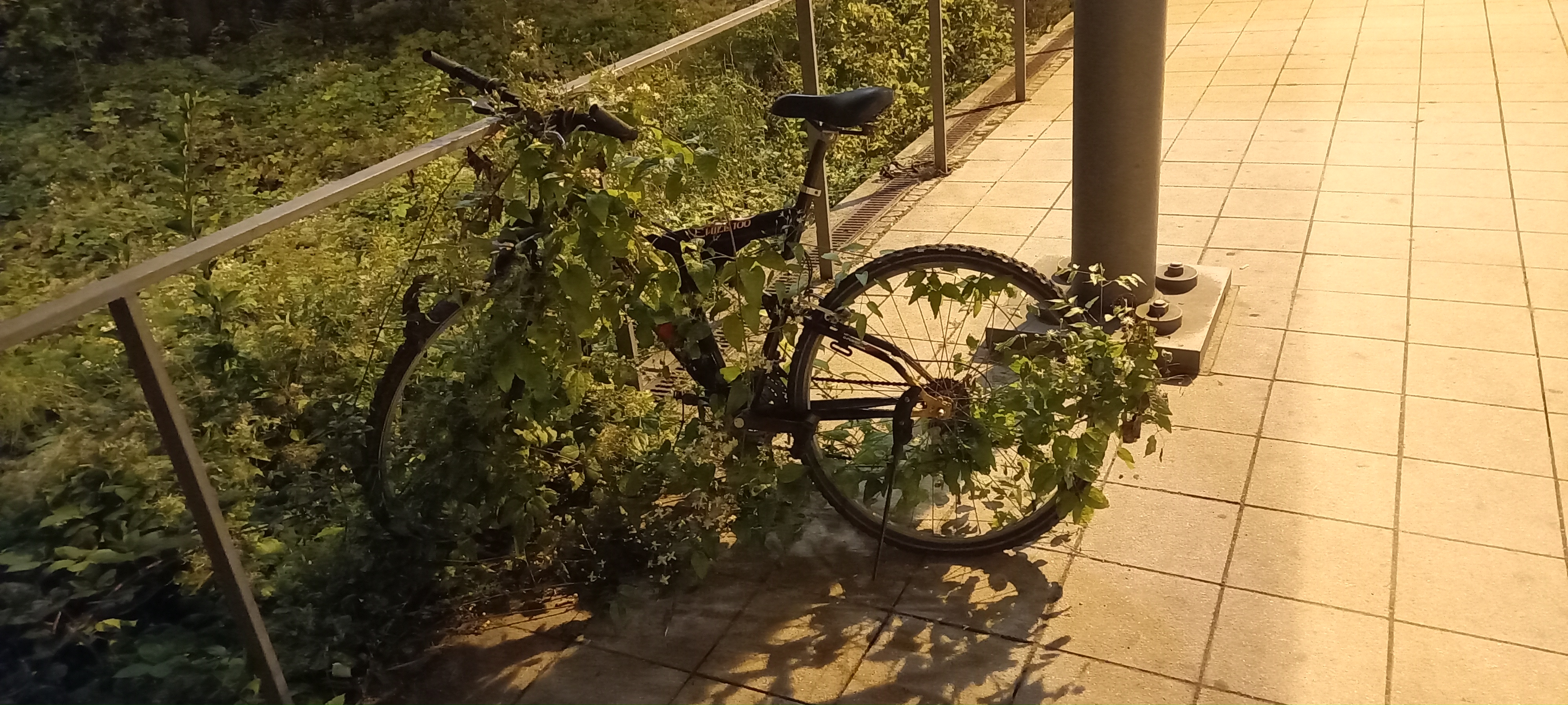 20210914_213146.jpg
