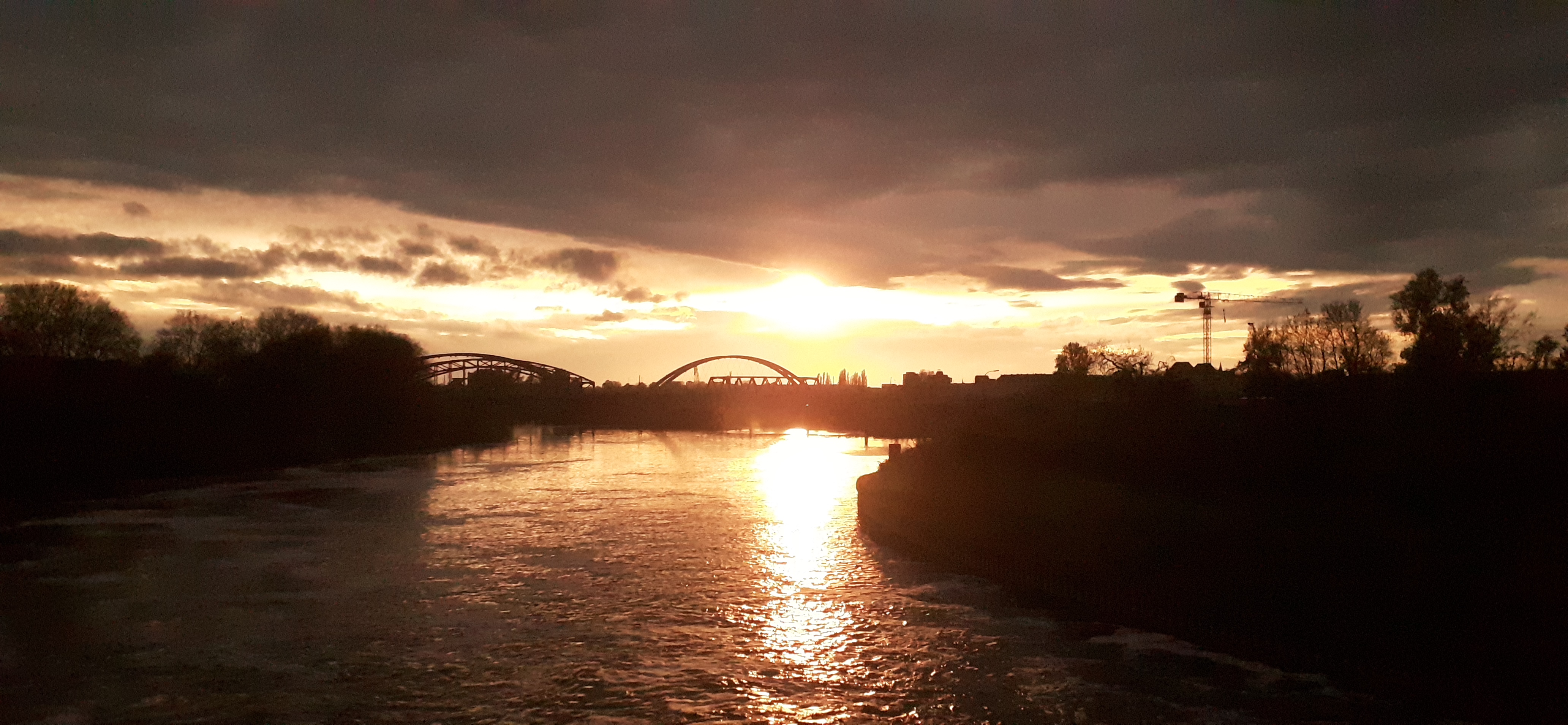 20230423_200542.jpg