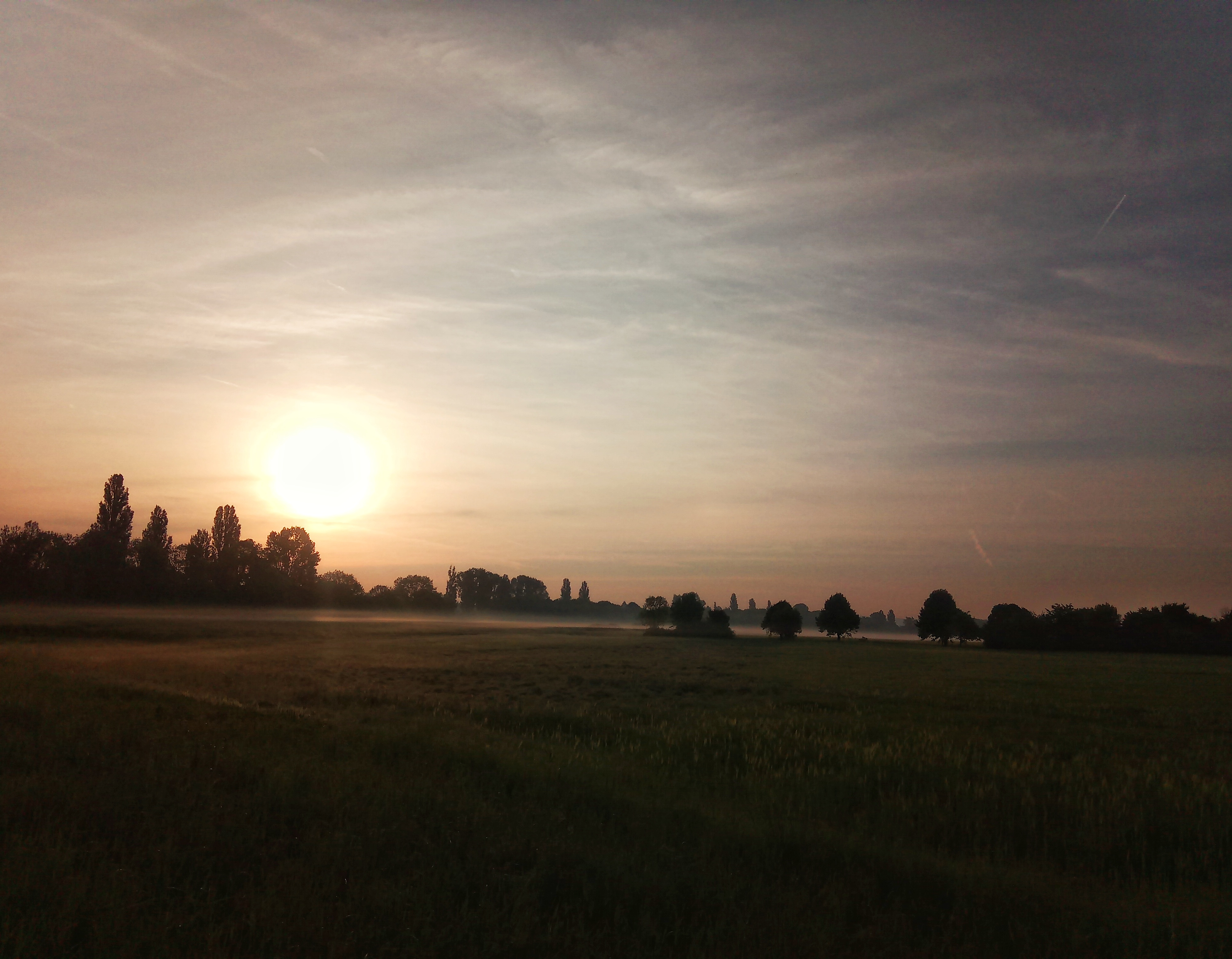 IMG_20220510_064436-01.jpeg