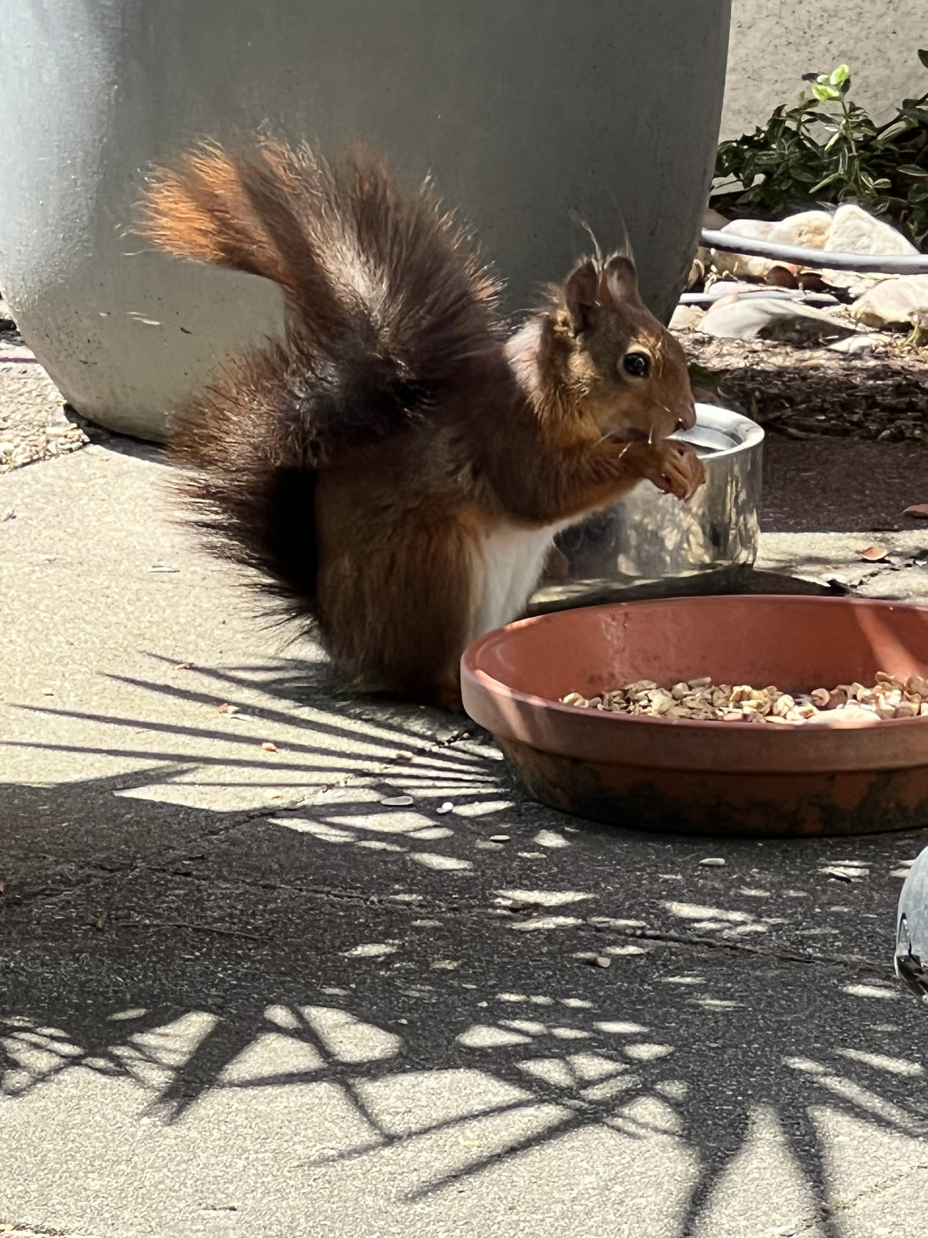 IMG_3888.jpeg