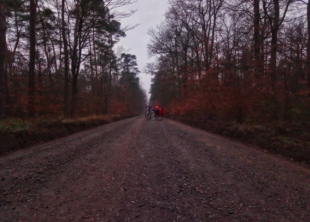 Screenshot 2022-03-31 at 12-26-03 Strava-Profil für Radfahrer Daniel Peschutter.png