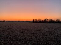 Morgenstimmung.jpg