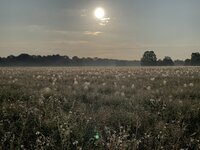 IMG_7568.jpeg