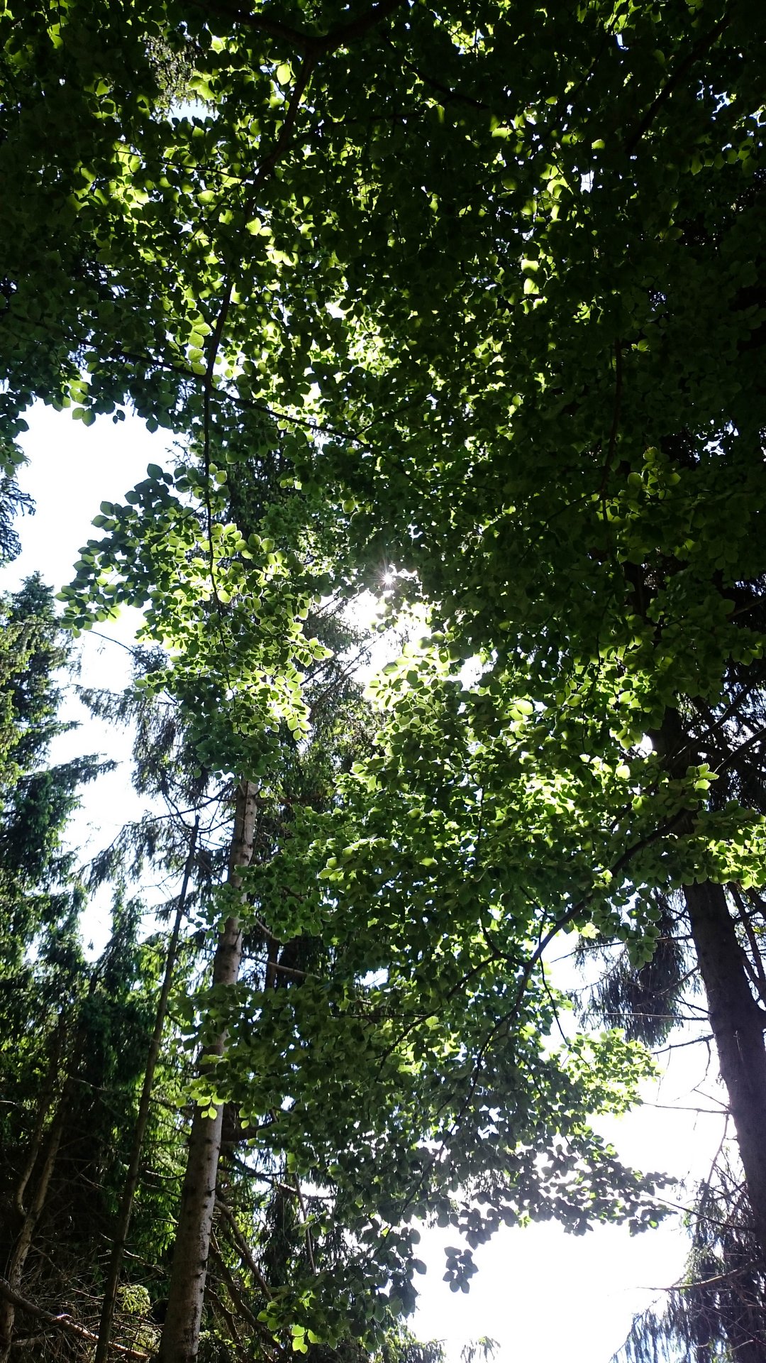 IMG-20220528-103936.jpg
