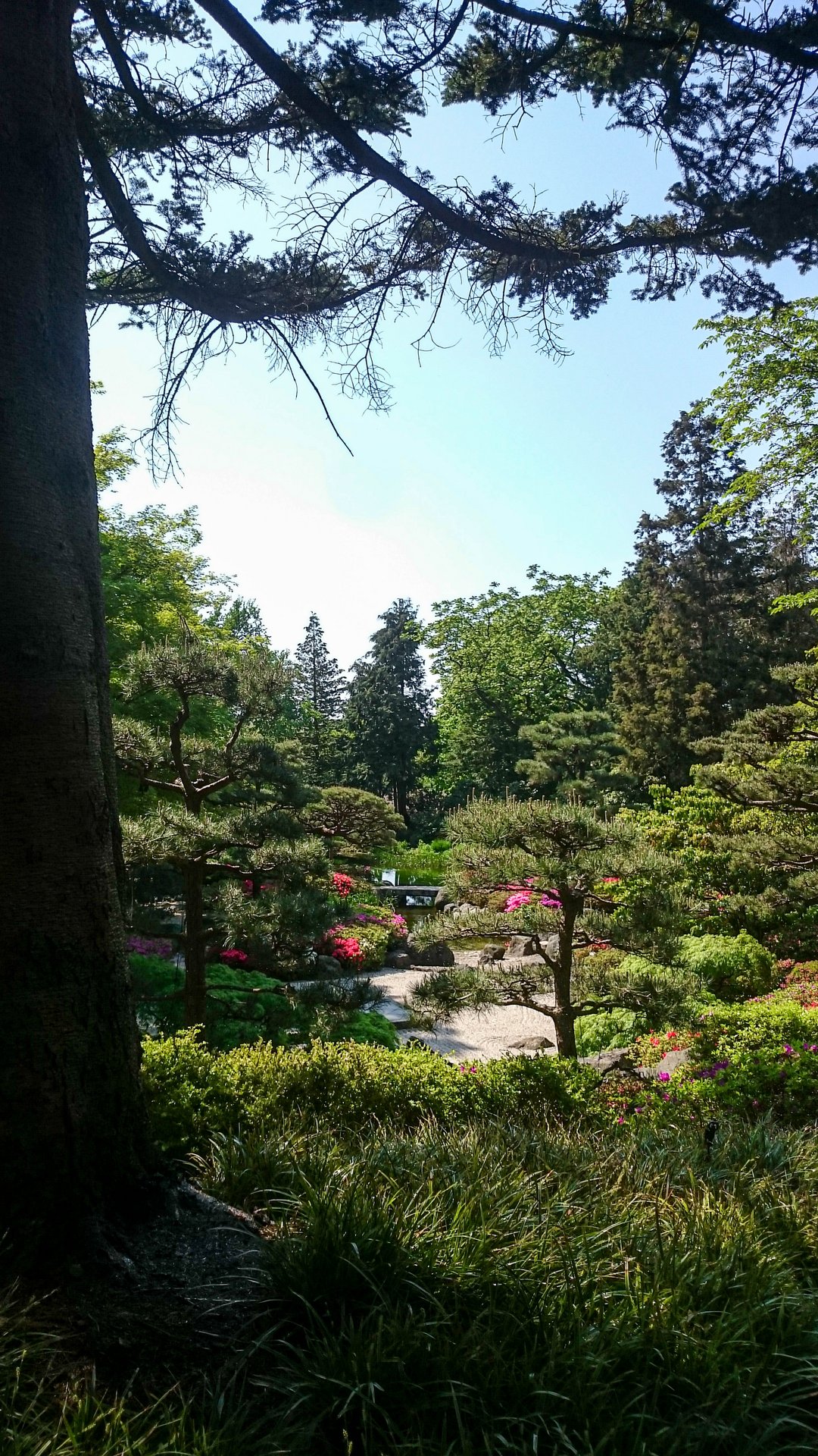 IMG-20230515-120451.jpg