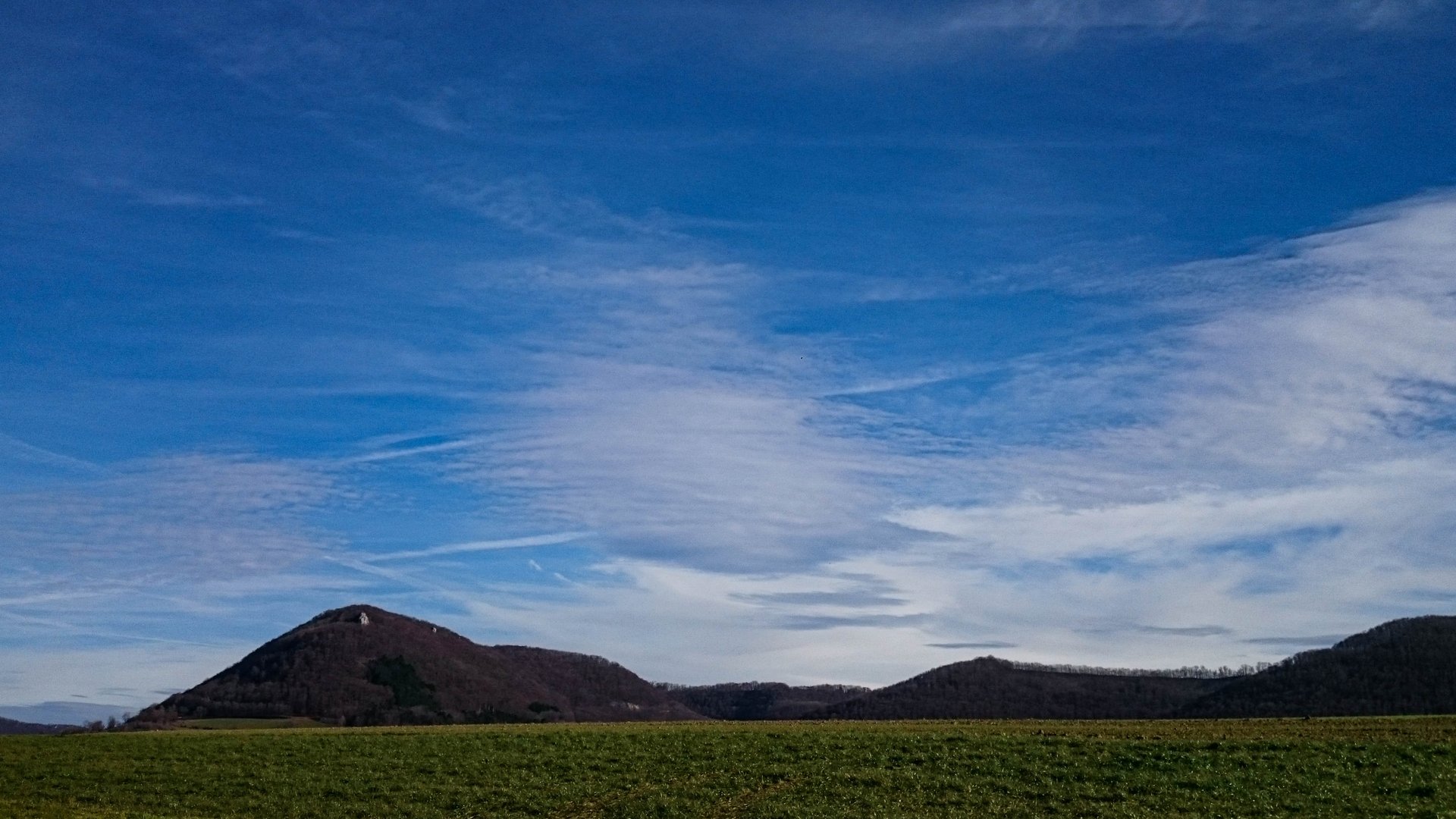 DSC-1783.jpg