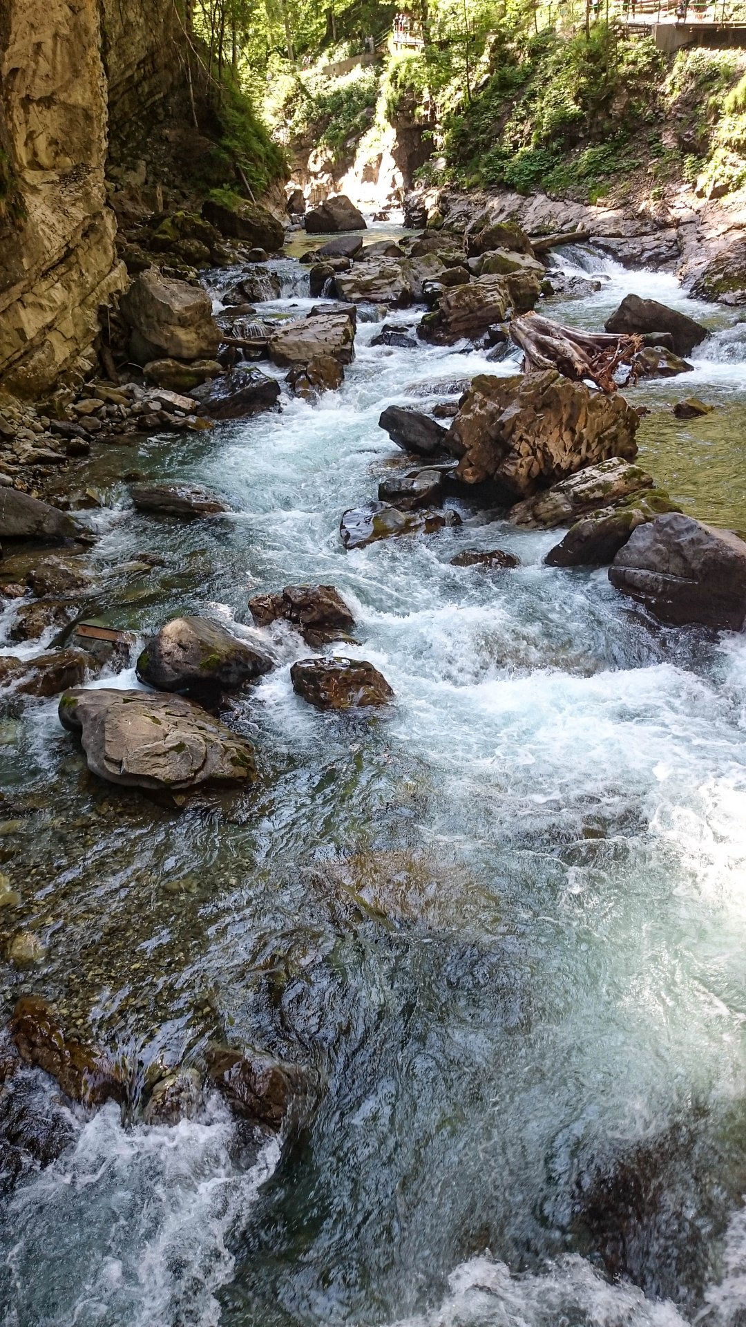 IMG-20230613-111811.jpg