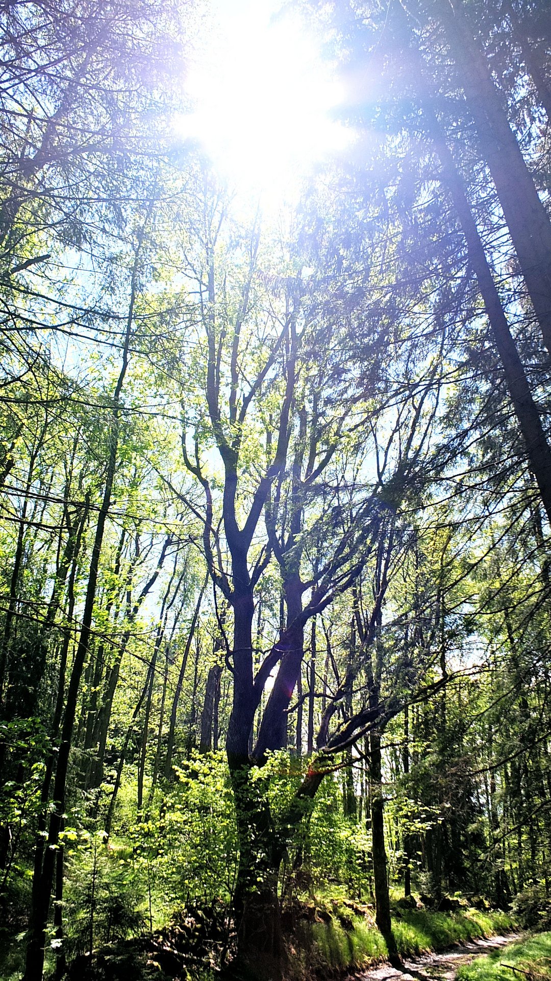 DSCF2121.jpg