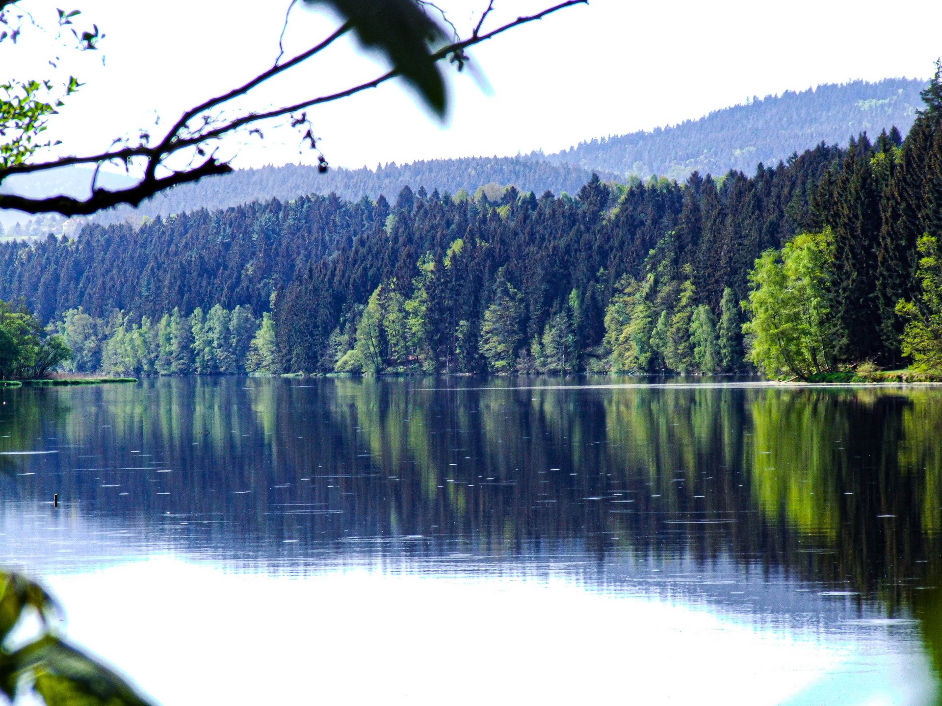DSCF0908.jpg