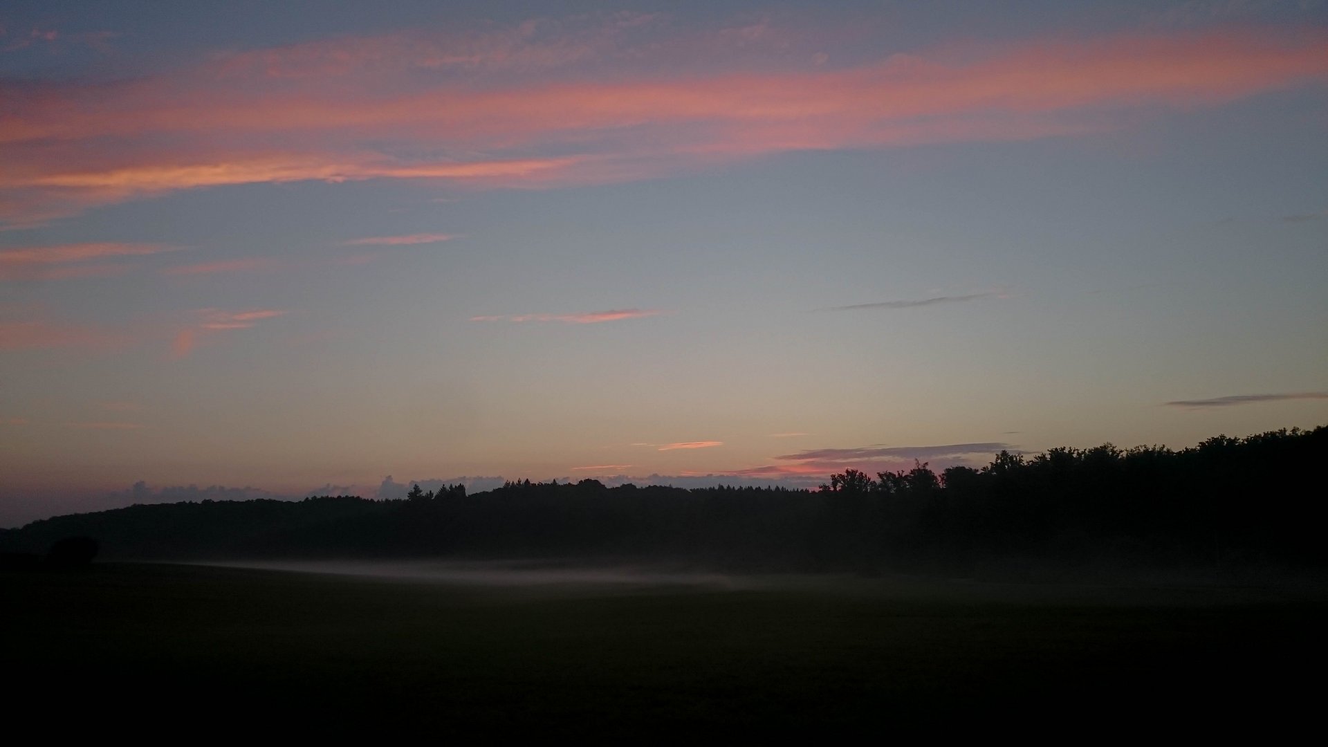IMG-20220826-062447.jpg