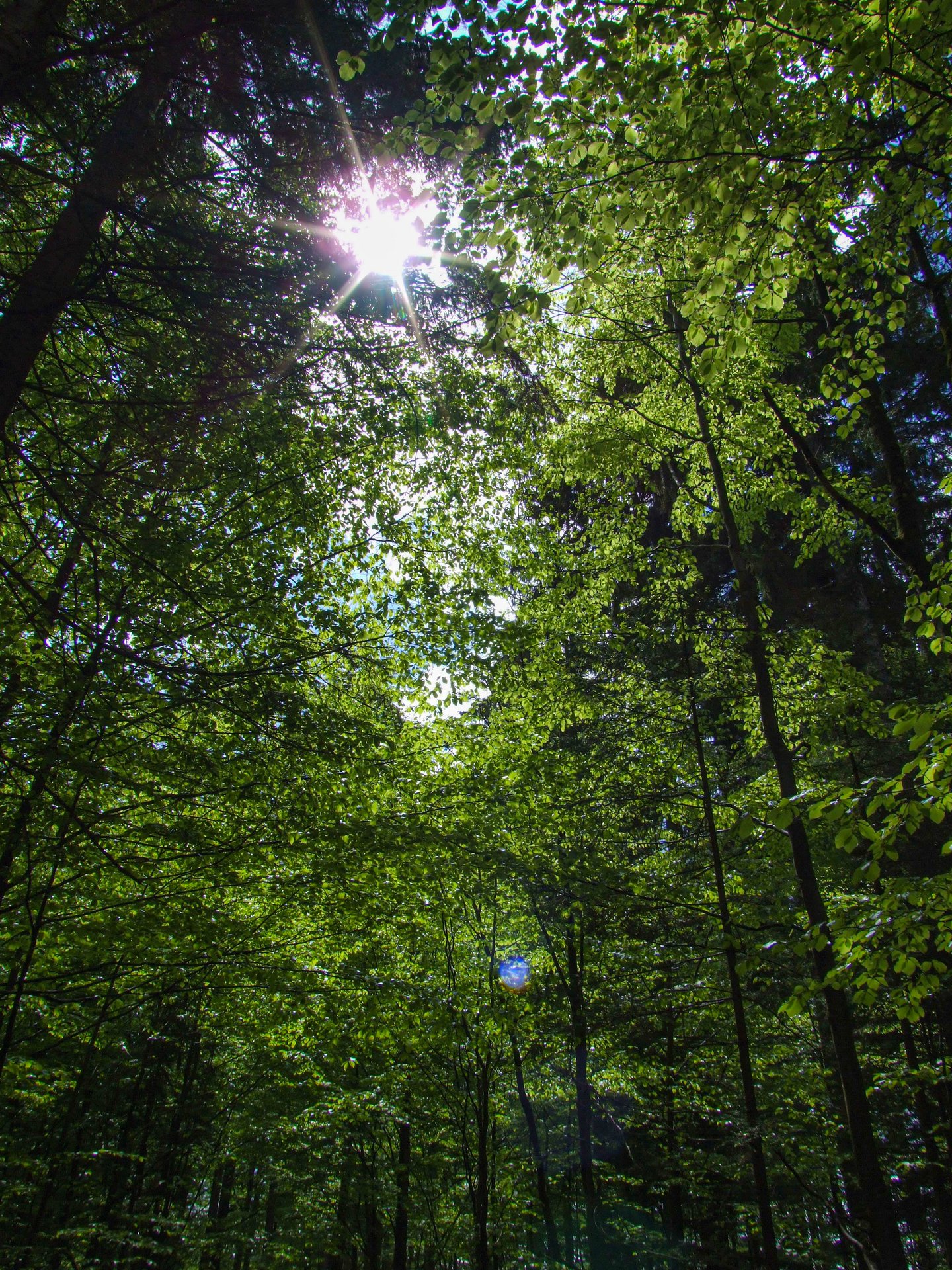DSCF1035.jpg
