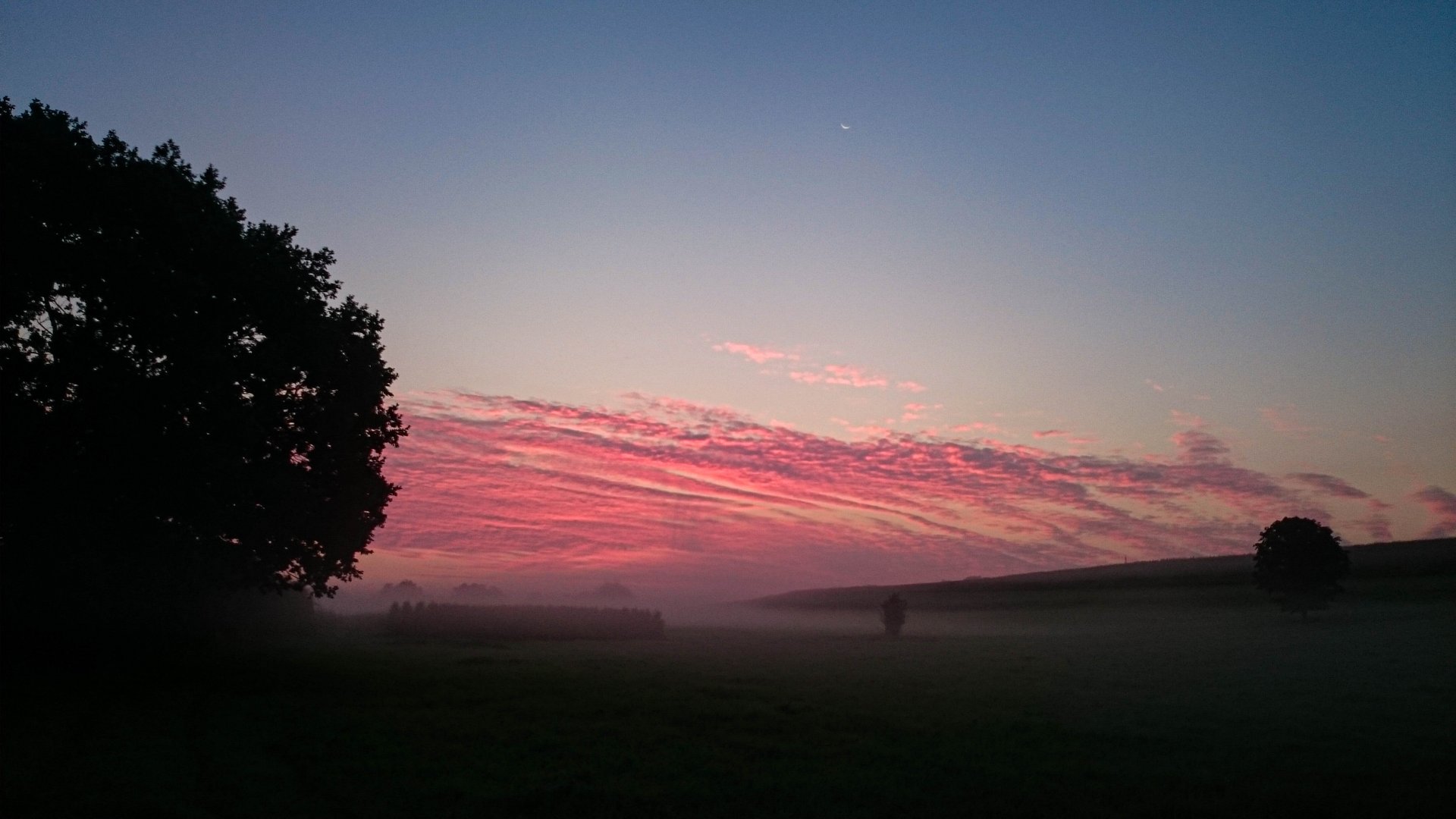IMG-20200915-064826.jpg