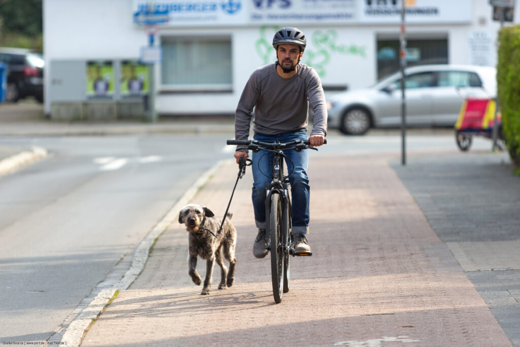Neue Mobilitätsstudie zeigt 50% der Deutschen nutzen Fahrrad als Fortbewegungsmittel