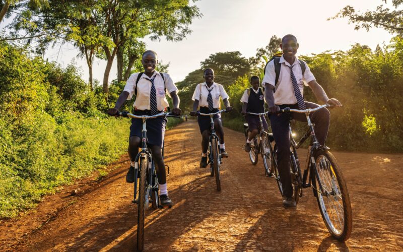 Adventsverlosung für WBR: Schwalbe-Spendenverdopplung ab 20. Dezember – mit eurer Hilfe!