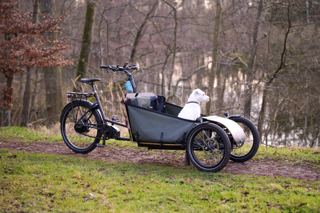 Mäx & Mäleon Dog Transporter Bike: Neues Lastenrad für Hunde