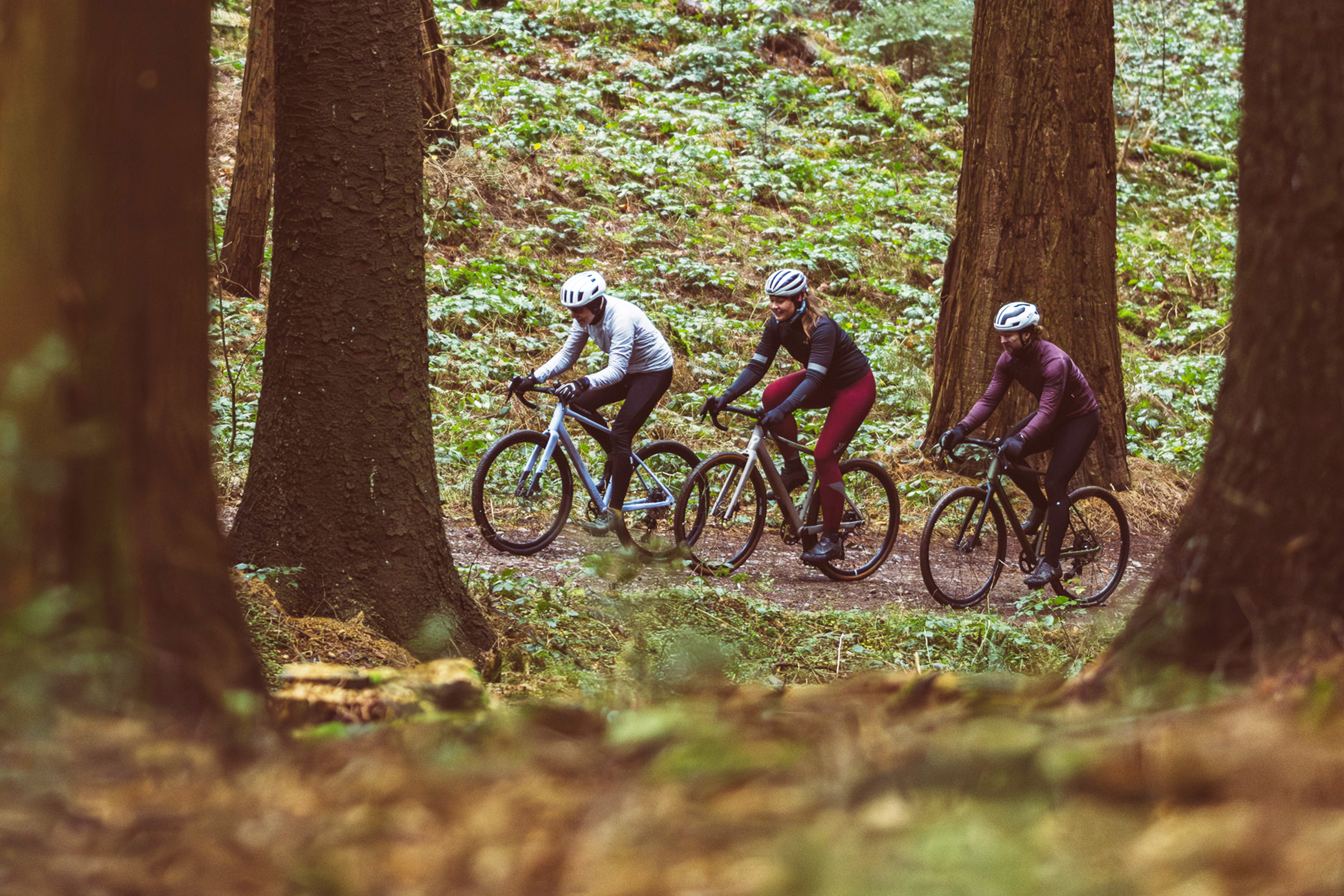 7 Gravelbikes bis 2.000 Euro im Test: Wo gibt es am meisten Bike für den Schotter?